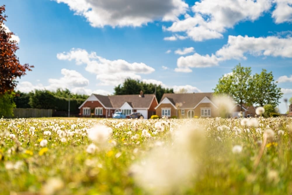 Land & New Homes