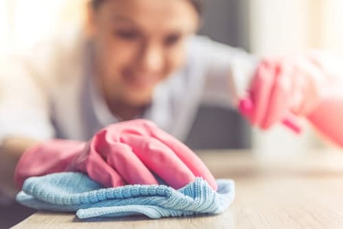 Professional Cleaning